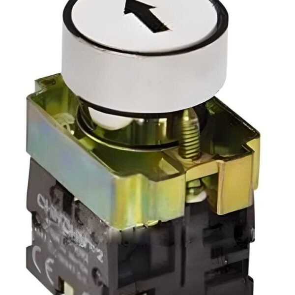 NP2-BA21 PULSADOR RASANTE METAL NEGRO ø22MM 1NA – NP2-BA21